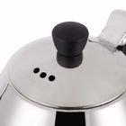 Long Mouth Small Capacity Electric Kettles Smooth Dull / Shining Surface